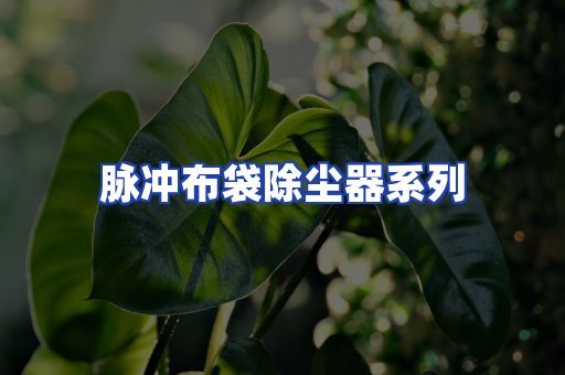 脉冲布袋除尘器系列